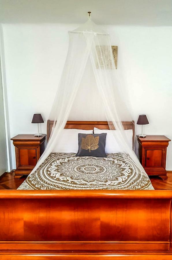 Pine House Leilighet Braşov Rom bilde